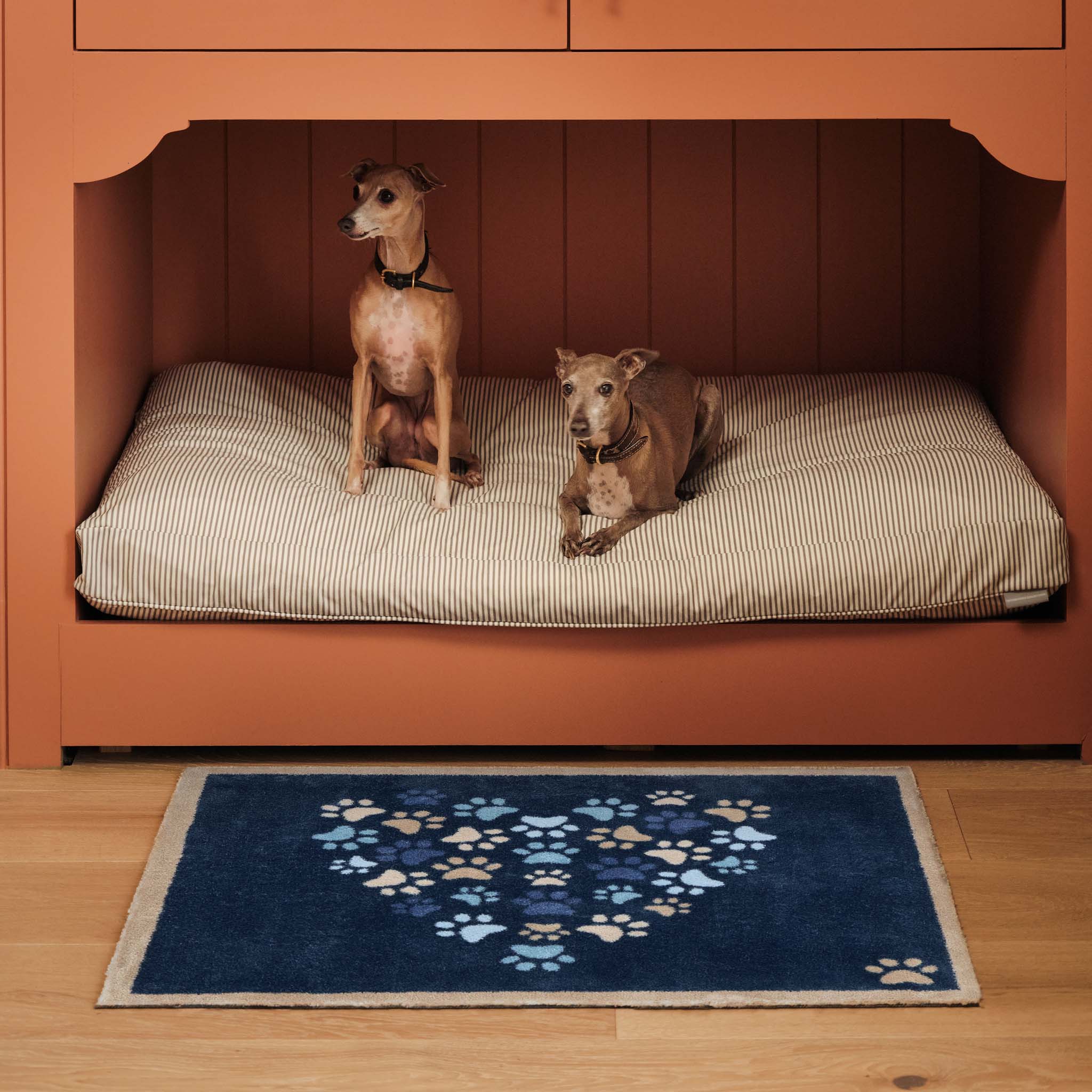Hug Rug Paws for Love Blue