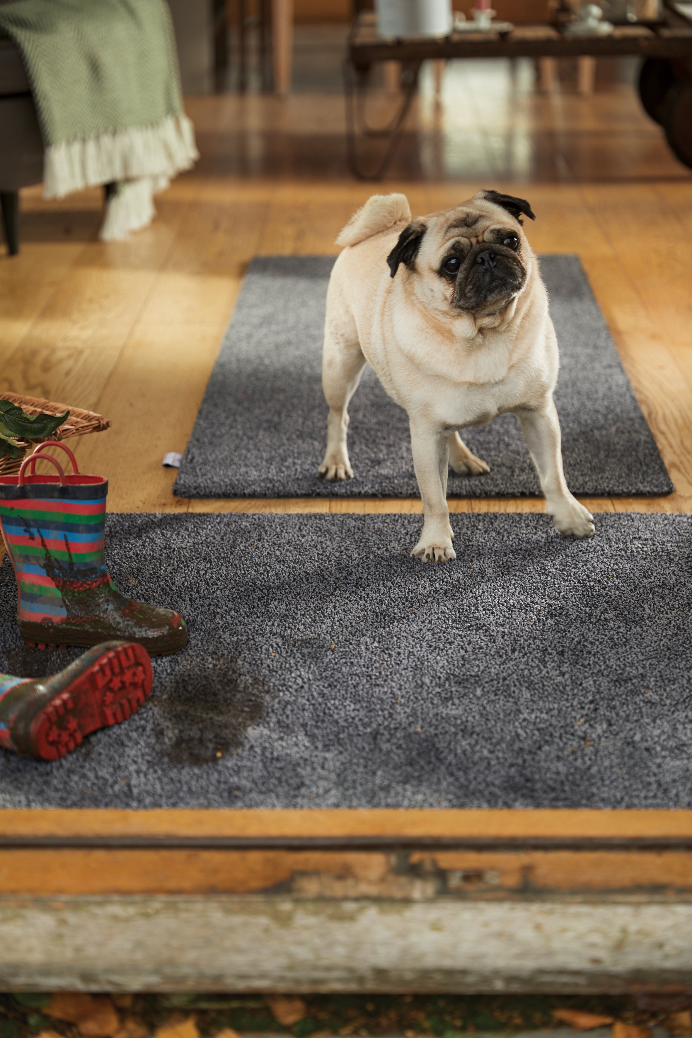 Hug Rug - Plain Charcoal